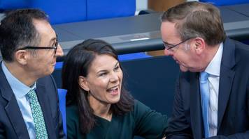 Grünen-Wähler glauben, sie zahlen zu wenig Steuern