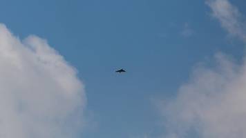 iran trifft amazon-standort in bahrain - feuer ausgebrochen