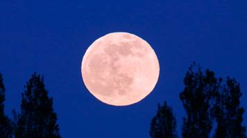 pink moon 2026: namensgebung, bedeutung