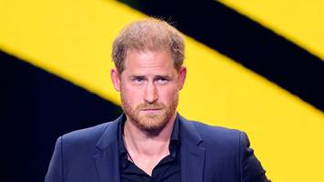 vermisse unsere kuschelstunden: privater chat mit journalistin bringt prinz harry in bedrängnis