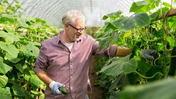 „mit der rente würden wir kaum über die runden kommen“: rentner martin (63) macht gelegenheitsjob