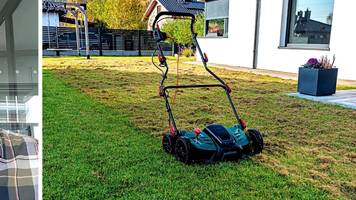 drei fehler machen hobbygärtner immer wieder