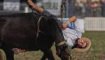 Fotografie: Bilder des Tages