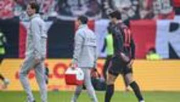 Fußball-Bundesliga: Leverkusen muss Saison ohne Terrier beenden