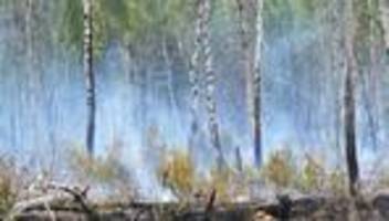 Waldbrandrisiko: Waldbrandgefahr steigt in Brandenburg an Ostern wieder