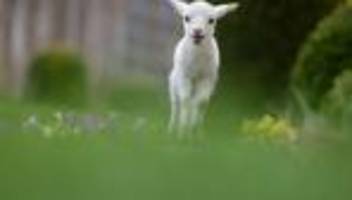 Wetterbericht: Wo die Feiertage stürmisch werden - und wo 23 Grad winken