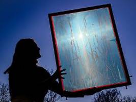 Botanik trifft Handwerk: Naturkunst schenkt Pflanzen ein zweites Leben