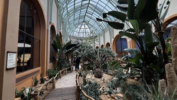 Antilopenhaus ohne Antilopen eröffnet – Einziger Bewohner markiert sein Revier