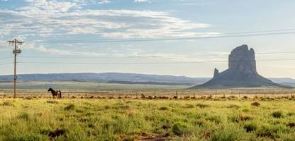 Arizona: Vermisste taucht nach 32 Jahren wieder auf