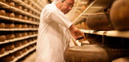 milch zu sauber: schweizer müssen löcher im käse mit heublumenpulver retten