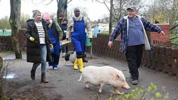 hilfe in der not: yared dibaba macht den kinderbauernhof wieder schick