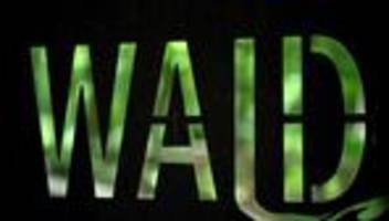 Bauen in Waldnähe: CDU will Mindestabstand für Bauten am Wald wieder senken