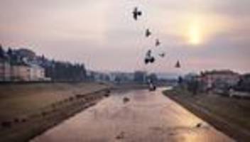 Eurocity von Leipzig bis Przemyśl: In Fahrtrichtung Krieg