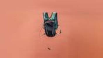 Laufweste: Ruhe im Rücken