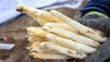 Wetter bremst Saisonstart: So viel kostet Spargel zu Ostern