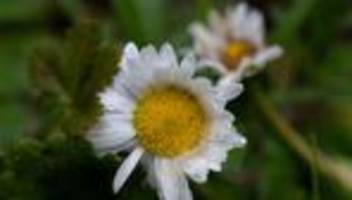 Wettervorhersage: Schirm oder Sonnenbrille? So wird das Wetter zu Ostern