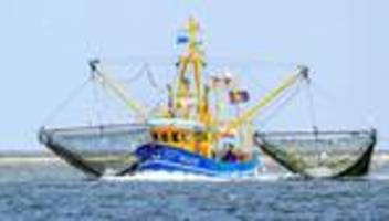 Umweltschutz: Ein Zehntel der Weltmeere steht unter Schutz