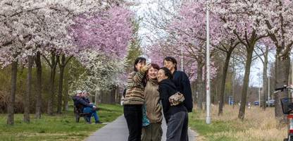 Wetter: Deutscher Wetterdienst stellt sommerliche Temperaturen in Aussicht