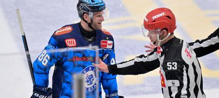 ERC-Ingolstadt-Stürmer Daniel Pietta: „Was mich gestört hat, war die Reaktion des Trainers“