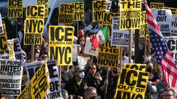 tiere durch ice-razzien allein: stehen vor schwerer krise