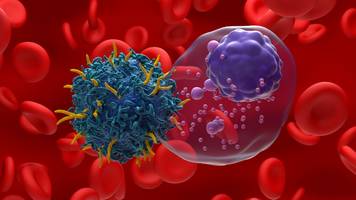 Forscher erzeugen Krebsabwehr-Zellen direkt im Körper