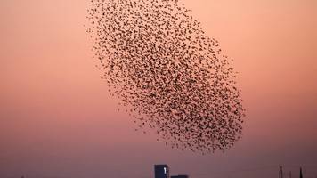 jung und ausgewandert: beste entscheidung des lebens