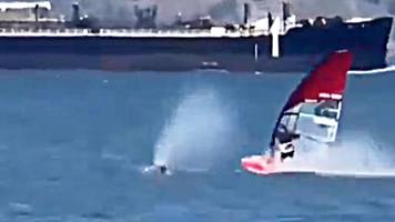 Video zeigt Crash: Windsurfer prallt gegen riesigen Wal