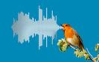 Merlin Bird ID: Wer tschilpt denn da so schön?