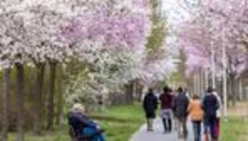 Ostern: Polizei: Osterfest in Brandenburg weitgehend friedlich