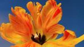 ostern und pessach: auf das leben!