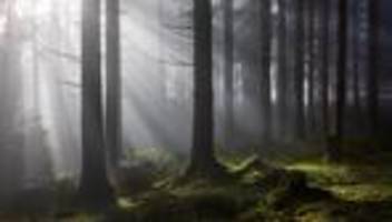 Passionszeit: Was tröstet uns?