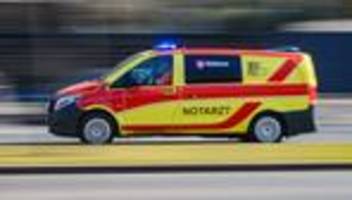 Unglück: Baum umgestürzt – Zwei Tote bei Flensburg