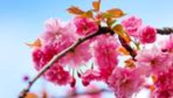 Wetter in Nordrhein-Westfalen: Sonnenschein und teils mehr als 20 Grad in der neuen Woche