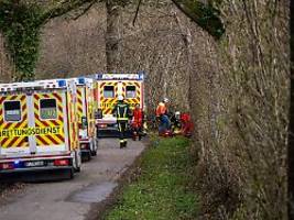 drama nahe flensburg: baum stürzt auf mehrere menschen - drei tote bei ostereiersuche