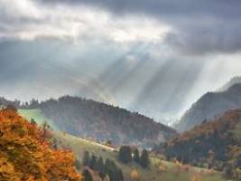 Vom Bleiben und Gehen: Der Wald lässt Die Riesinnen nicht los