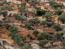 Vor den Augen des Vaters: Bericht: Siedler töten erneut Palästinenser