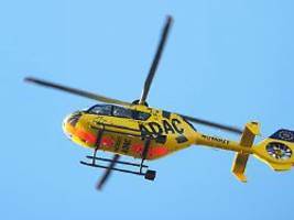 Während Ostereiersuche?: Baum stürzt auf mehrere Menschen - zwei Tote