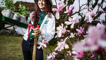 berliner garten-star: besserwisser-männer und ein ultimativer tipp