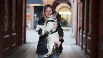 von spanien nach berlin: wie jagdhund pablo in mitte ein neues zuhause fand