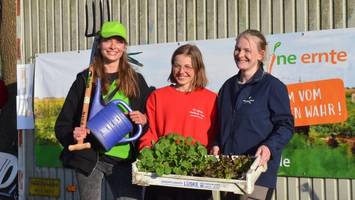 Bis zu 800 Euro sparen gegenüber Supermarkt: Mietgärten nördlich von Hamburg boomen