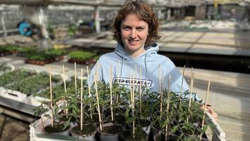 Tipps der Gärtnerei-Chefin: So wachsen Gemüse-Pflanzen optimal