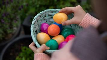 forscher über eier und das böse cholesterin