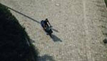 Cargobikes im Alltag: Was ist das beste Lastenrad? Acht Modelle im Langzeittest