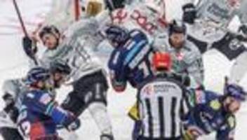 Deutsche Eishockey Liga: DEL-Halbfinale gegen Köln: Eisbären erwartet große Aufgabe
