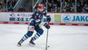 Deutsche Eishockey Liga: Nach Viertelfinal-Aus: Wild Wings verkünden sechs Abgänge