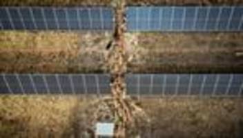 Energiepreise in Spanien: Wo der Strom noch günstig ist