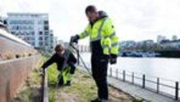 Invasive Art: Brände und Schäden: Mit Wasser gegen die Drüsenameise