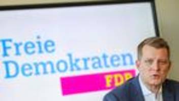 Krise der Liberalen: FDP-Landeschef Höne will Bruch mit Ampel-Zeit