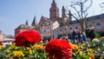 Wetter: Sonne und frühsommerliche Temperaturen in RLP und Saarland