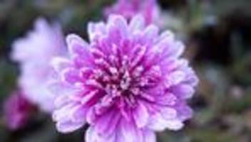 wetter im norden: sonne und frost lösen sturm nach ostern ab